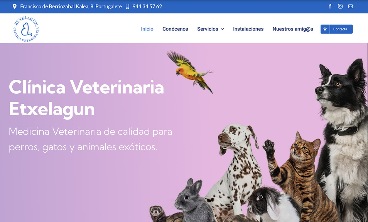 Diseño web Clínica Veterinaria