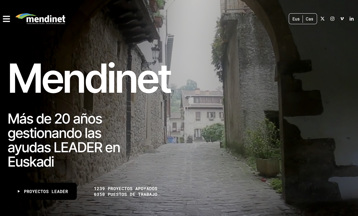 Diseño web Mendinet